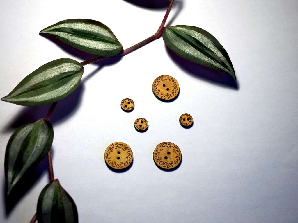 bouton feuilles